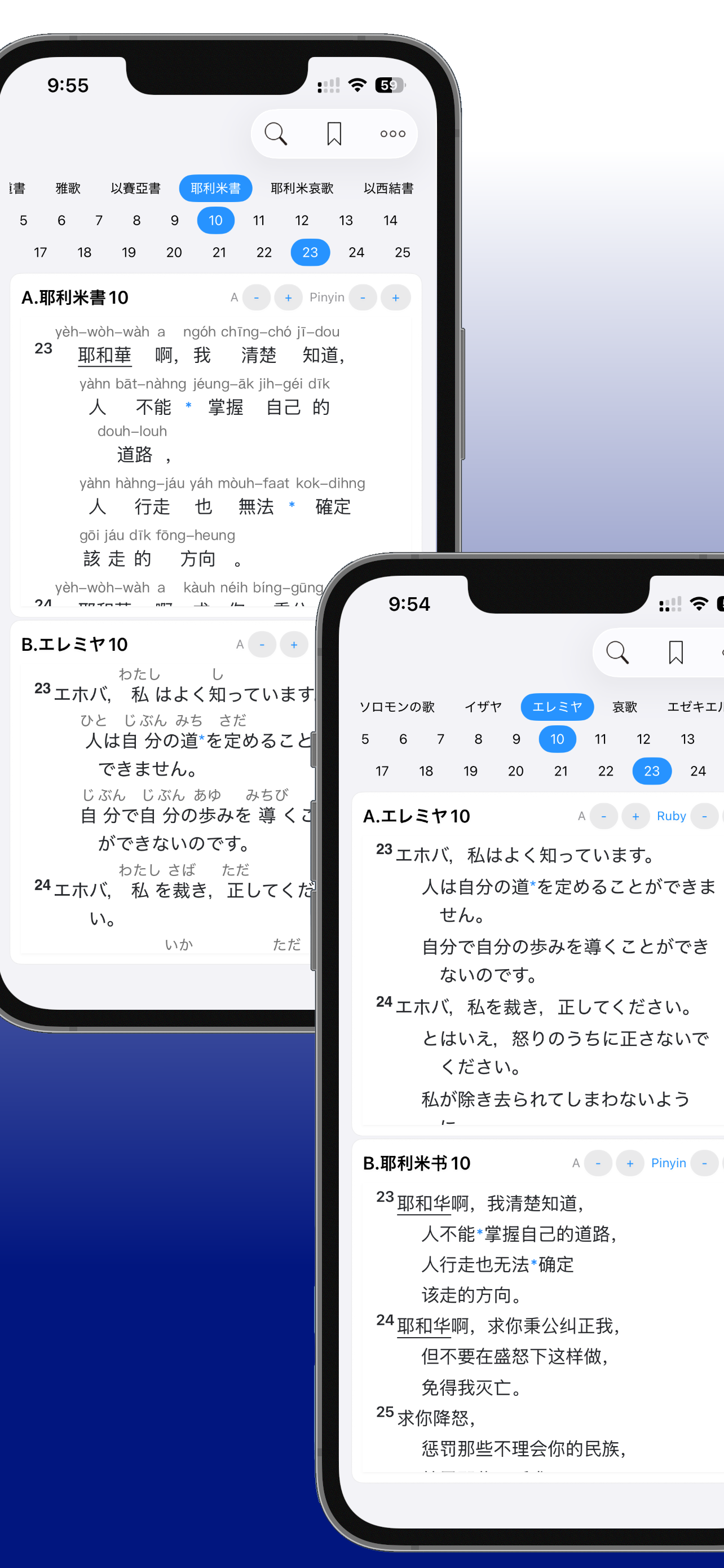 DoubleScroll Bible screenshot 3