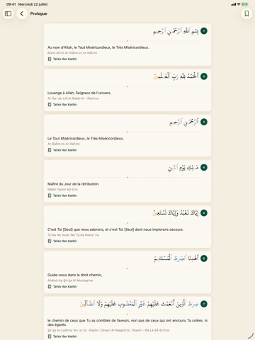 Coran: Français, Arabe, Tafsir iPad screenshot 3