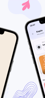 Kapio screenshot 2