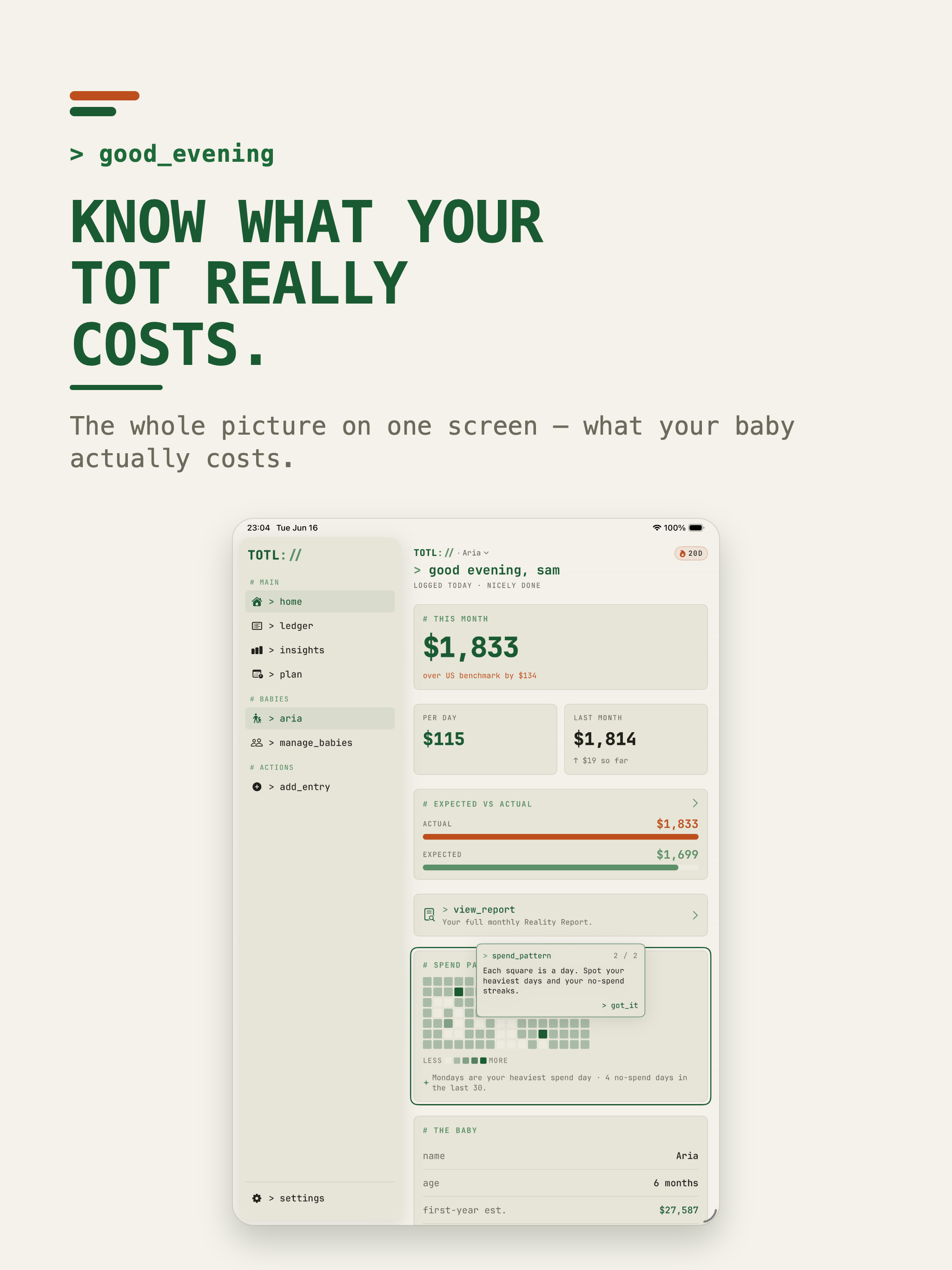 Baby Cost Budget Tracker TOTL screenshot 11