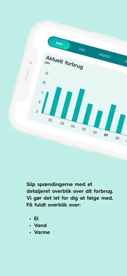 Screenshot 5 di 6 di EWII Energi