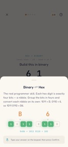 Learn Binary: Bits & Hex screenshot