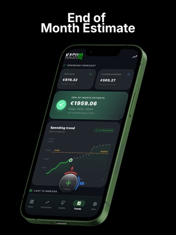 KashIQ - Expense Tracker iPad screenshot