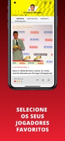 A BOLA screenshot