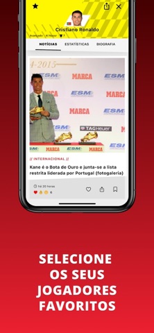A BOLA screenshot