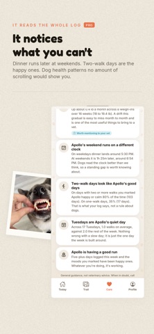 Marrow: Dog Diary Screenshot 3 of 5