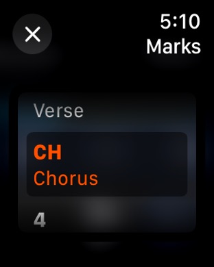 Apple Watch screenshot