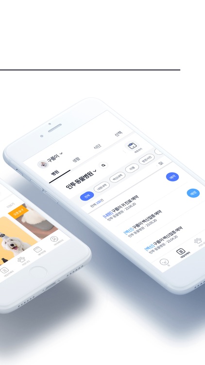 인투펫 - 펫 AI 에이전트