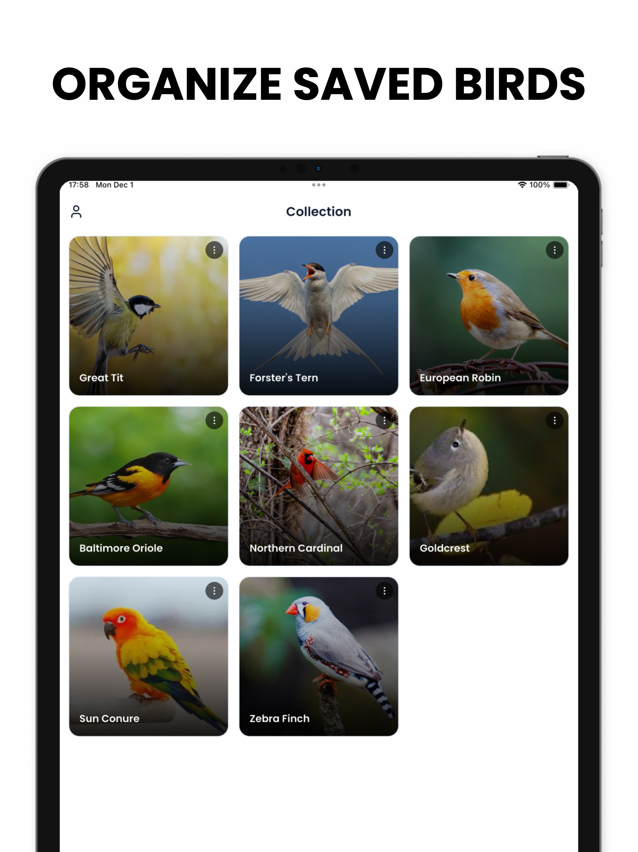 Bird Identifier AI - Birdby