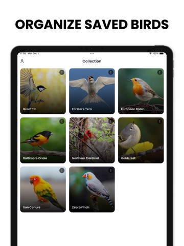 Bird Identifier AI - Birdby iPad screenshot