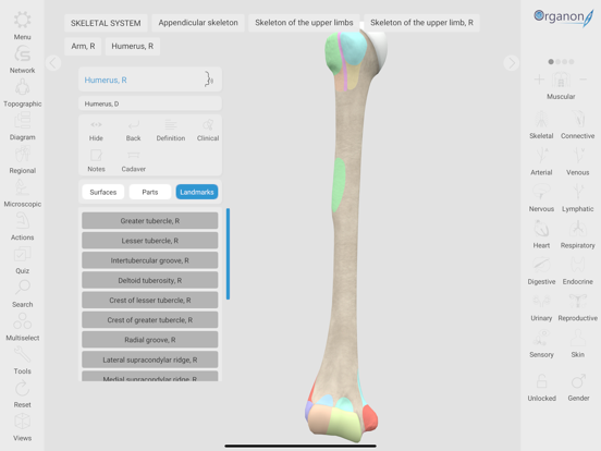 3D Organon iPad screenshot 8 - Medical app
