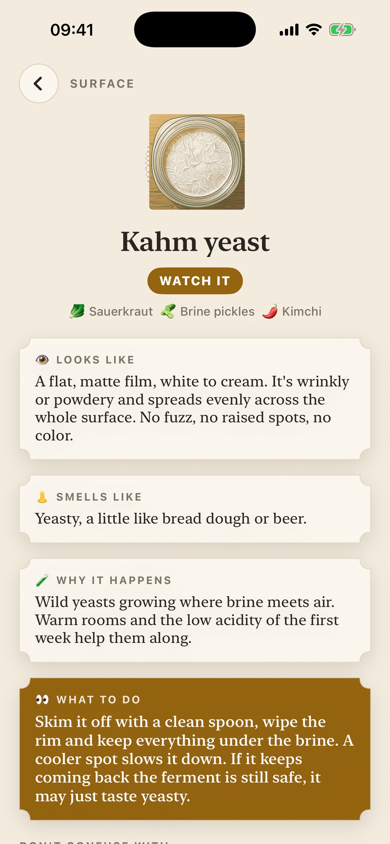 Screenshot 5 of Crockwise: Ferment Tracker