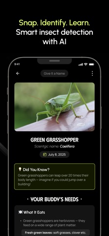 Insect Identifier: Bug AI screenshot