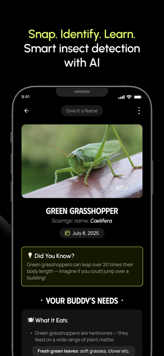 Insect Identifier: Bug AI Screenshot 2 of 4