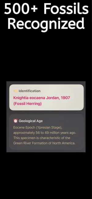 Fossil Id : Fossil Identifier screenshot 2