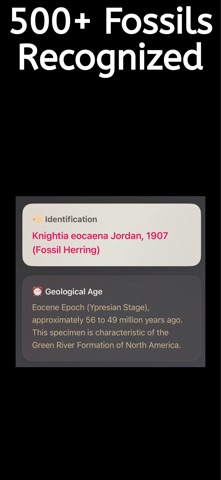 Fossil Id : Fossil Identifier screenshot