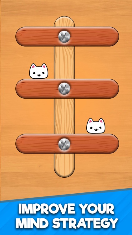 Nuts & Bolts Cat Escape Puzzle