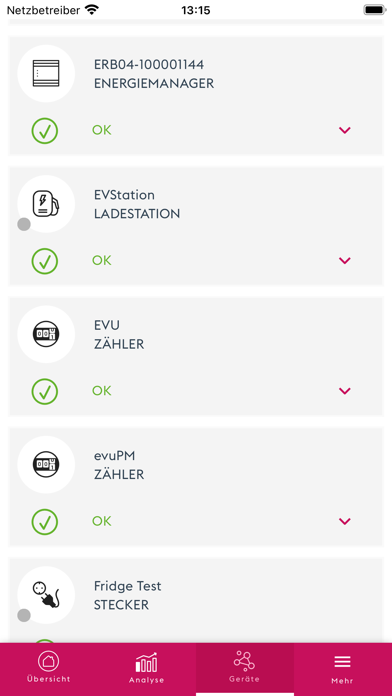 enercity Energiemanager Screenshot