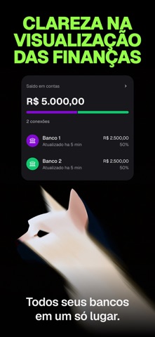 Pierre: IA financeira pessoal iPhone screenshot 3
