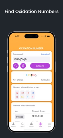 ChemSnap - Equation Balancer Screenshot 3 of 4