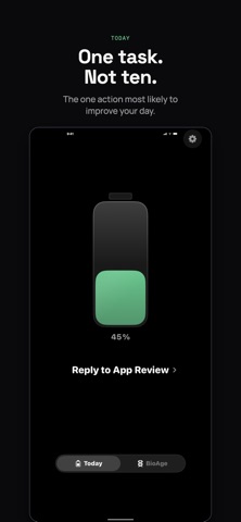Dayline AI screenshot