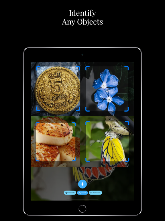 Identify Anything Lens.AI Scan