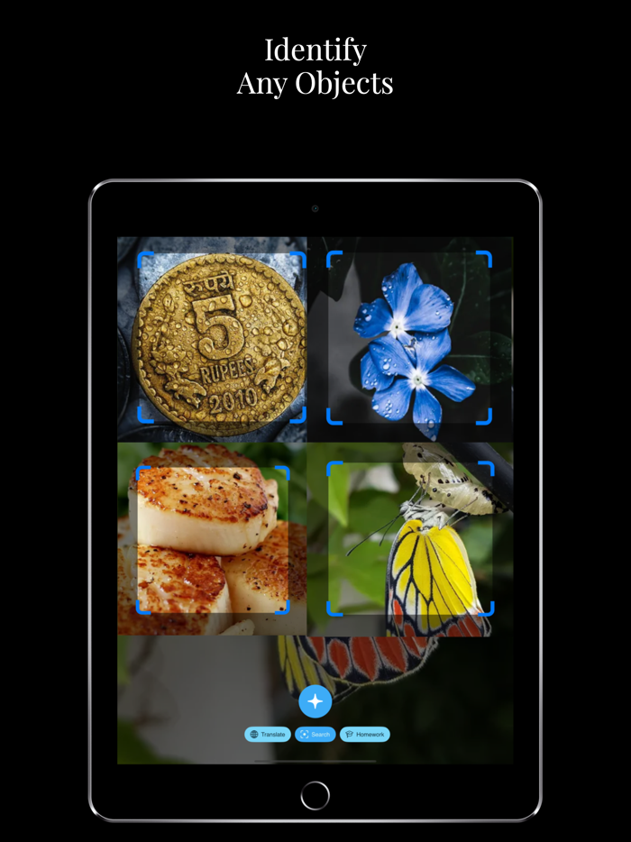 Lens.AI búsqueda por imagen