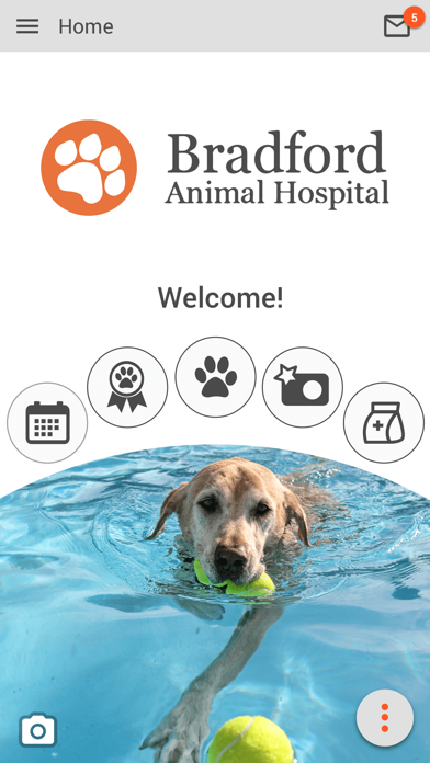 Bradford Animal Hospital Screenshot