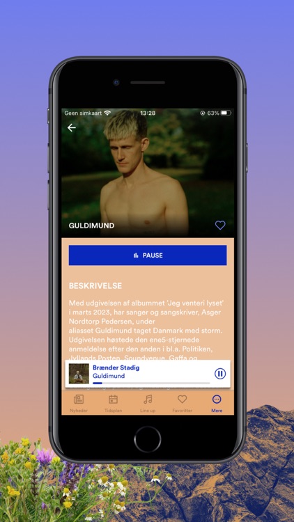 Wonderfestiwall screenshot-4