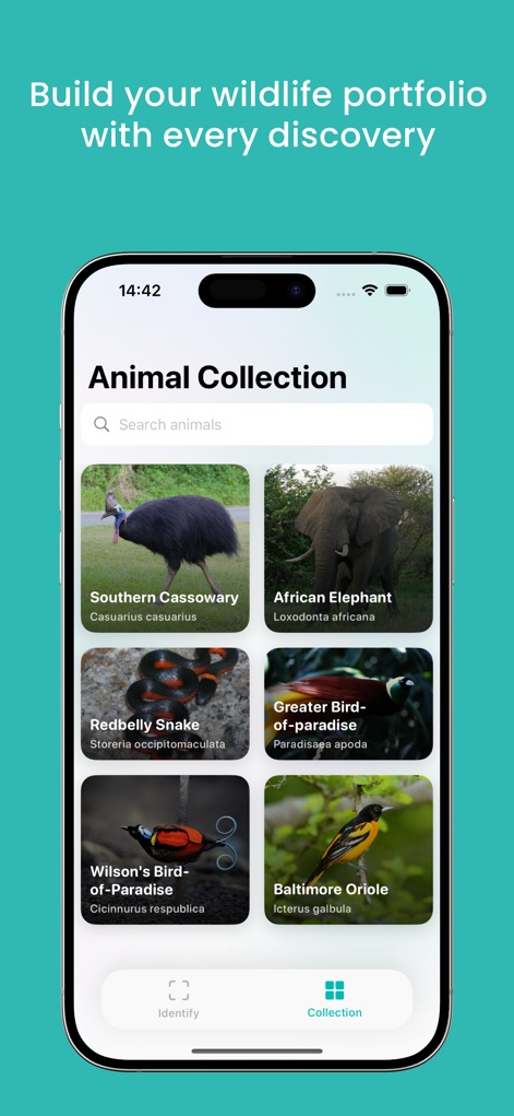 Animal AI - animal identifier - App de Estilo de vida | MWM