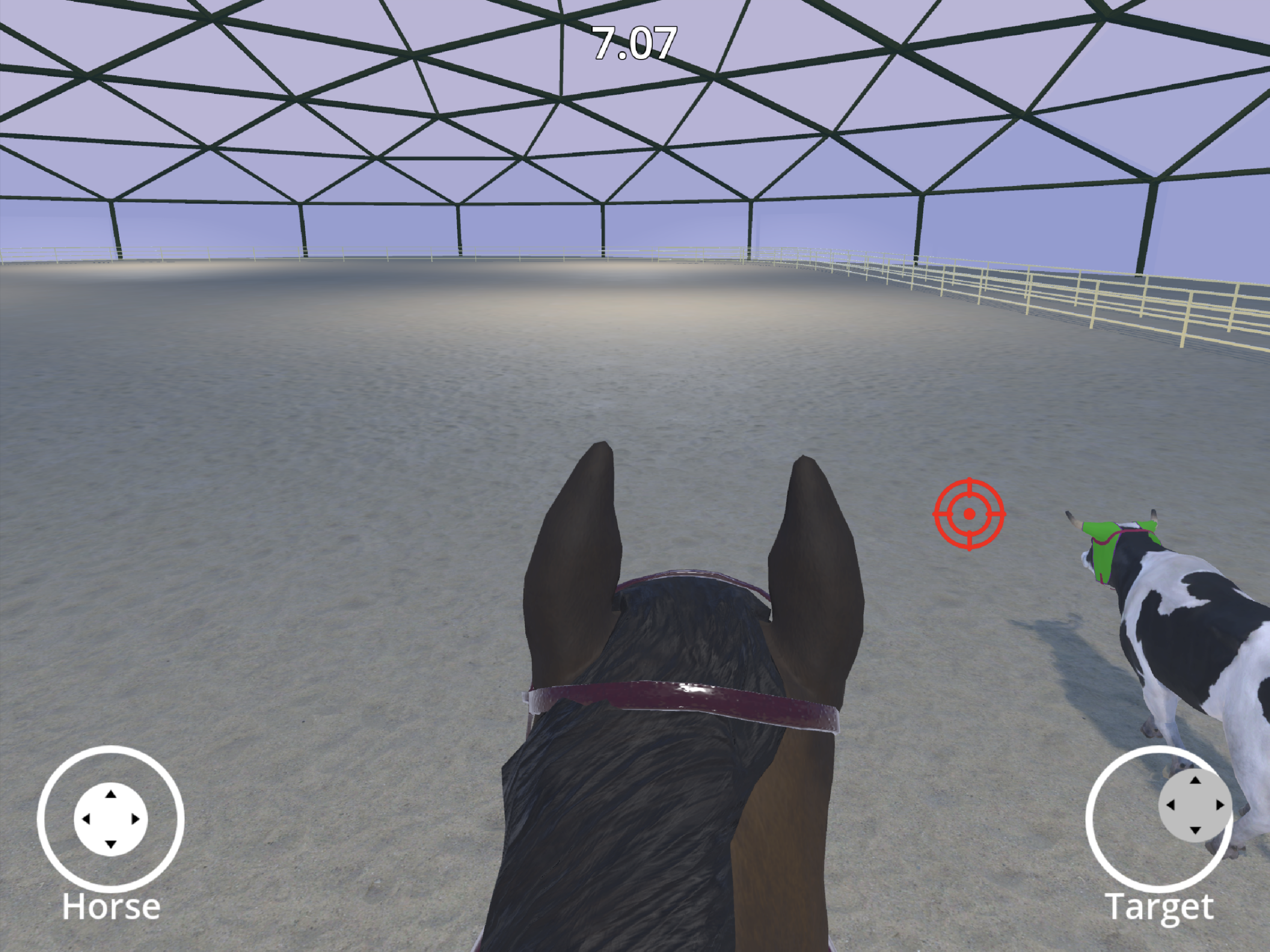 Rider Rodeo