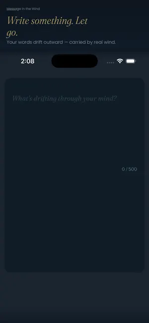 Message in the Wind screenshot 3