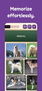 Squiz - Learn with Quizzes screenshot 2