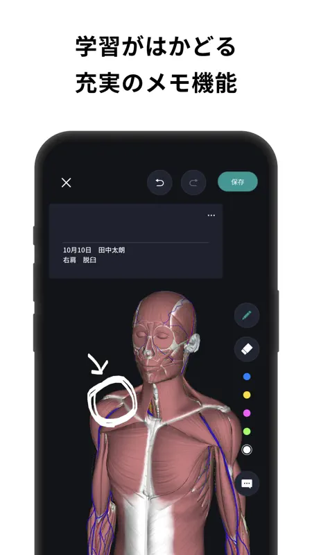 チームラボボディ 人体の解剖学 筋肉 解剖 骨格 3d模型 screenshot 5 of 7