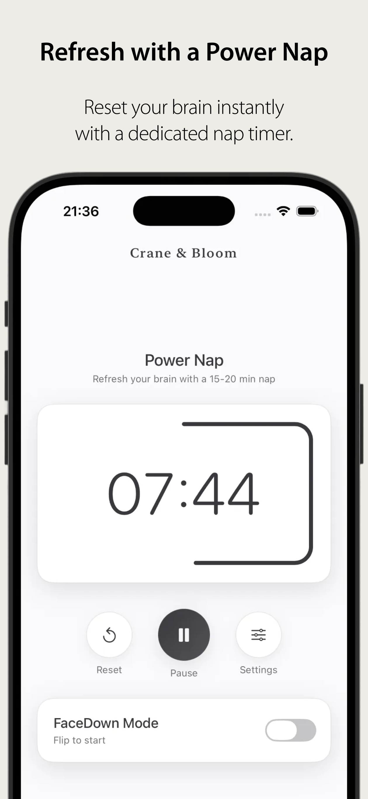 Study Timer: Crane & Bloom