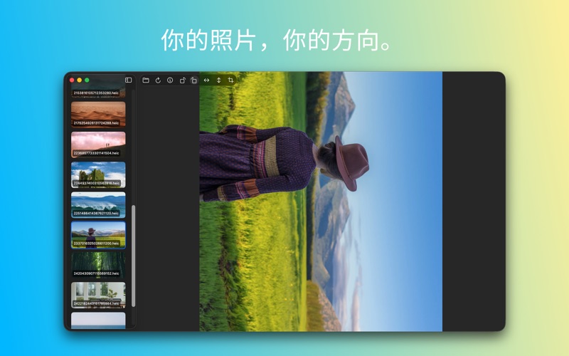 Picser - 图片浏览与查看器 screenshot