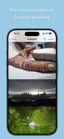SD Photo Exp Screenshot 4 of 5