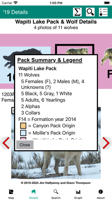 Yellowstone Wolves: The Years Screenshot