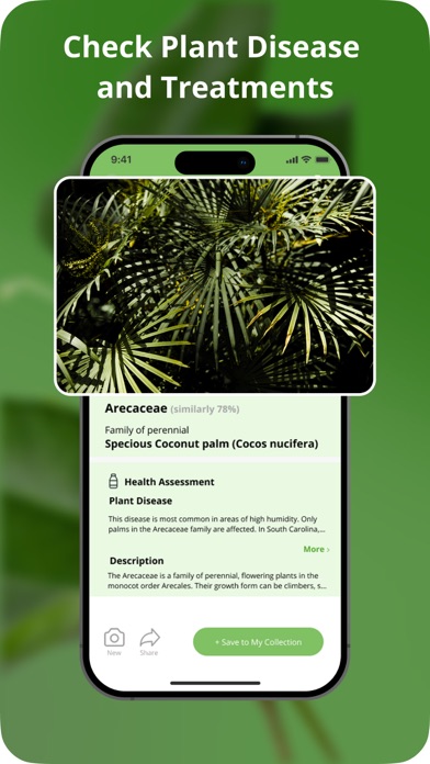 Plant Disease Identification Screenshot