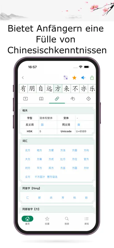 Hanzi-Wörterbuch (Schule) screenshot 4 of 7