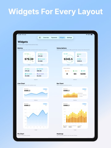 RevenueHub: App Revenue iPad screenshot
