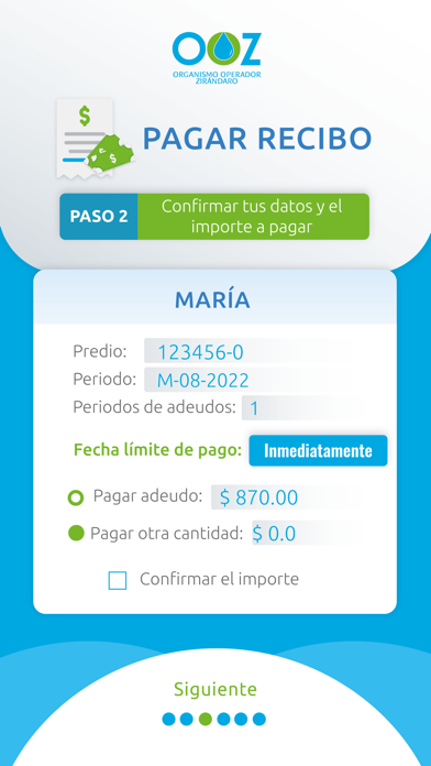 OOZ - Pagos y Consultas Screenshot