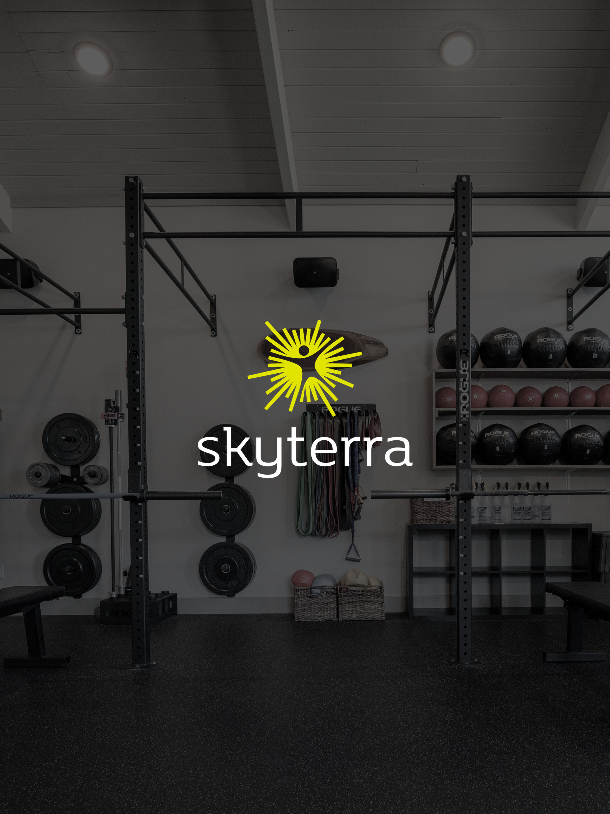 Skyterra At Home