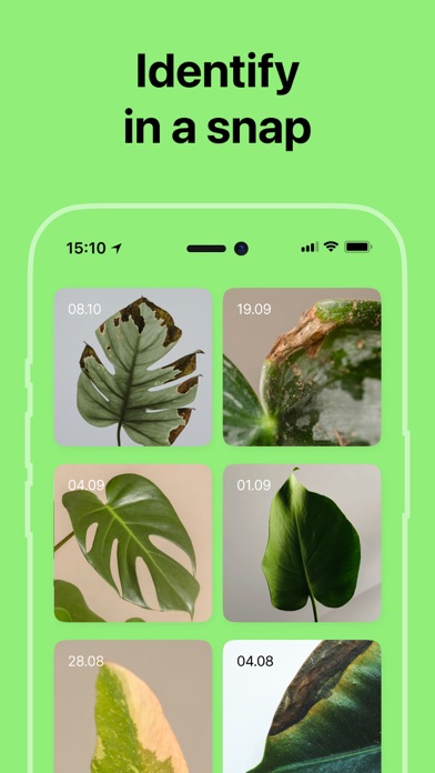 Plant Disease Identifier Pro Screenshot
