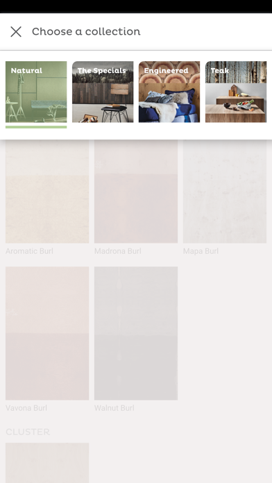 Mikasa Veneers Screenshot