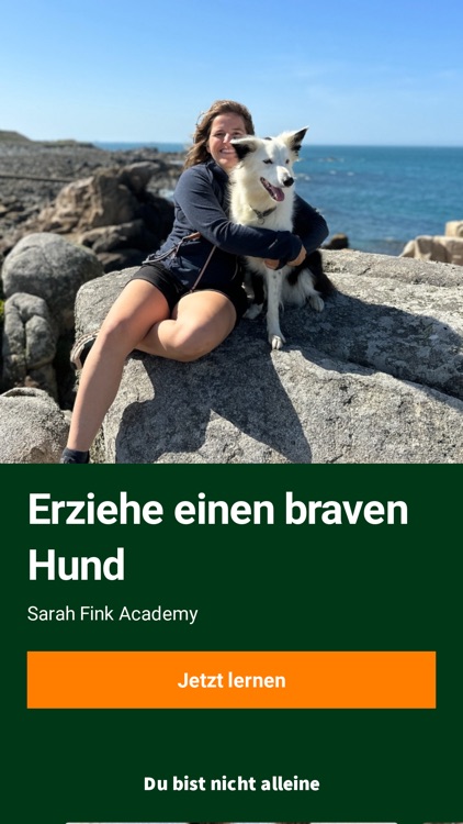 Sarah Fink Academy