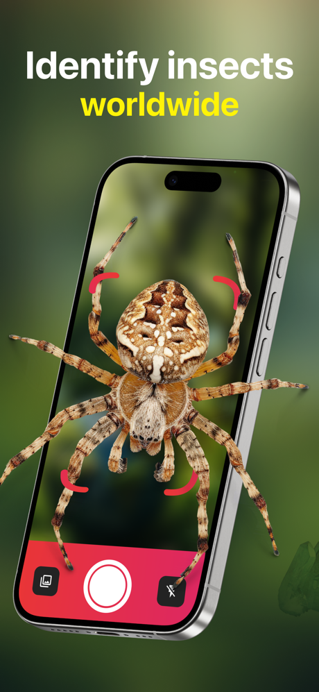 Bug Identifier: Spider Scanner screenshot 3