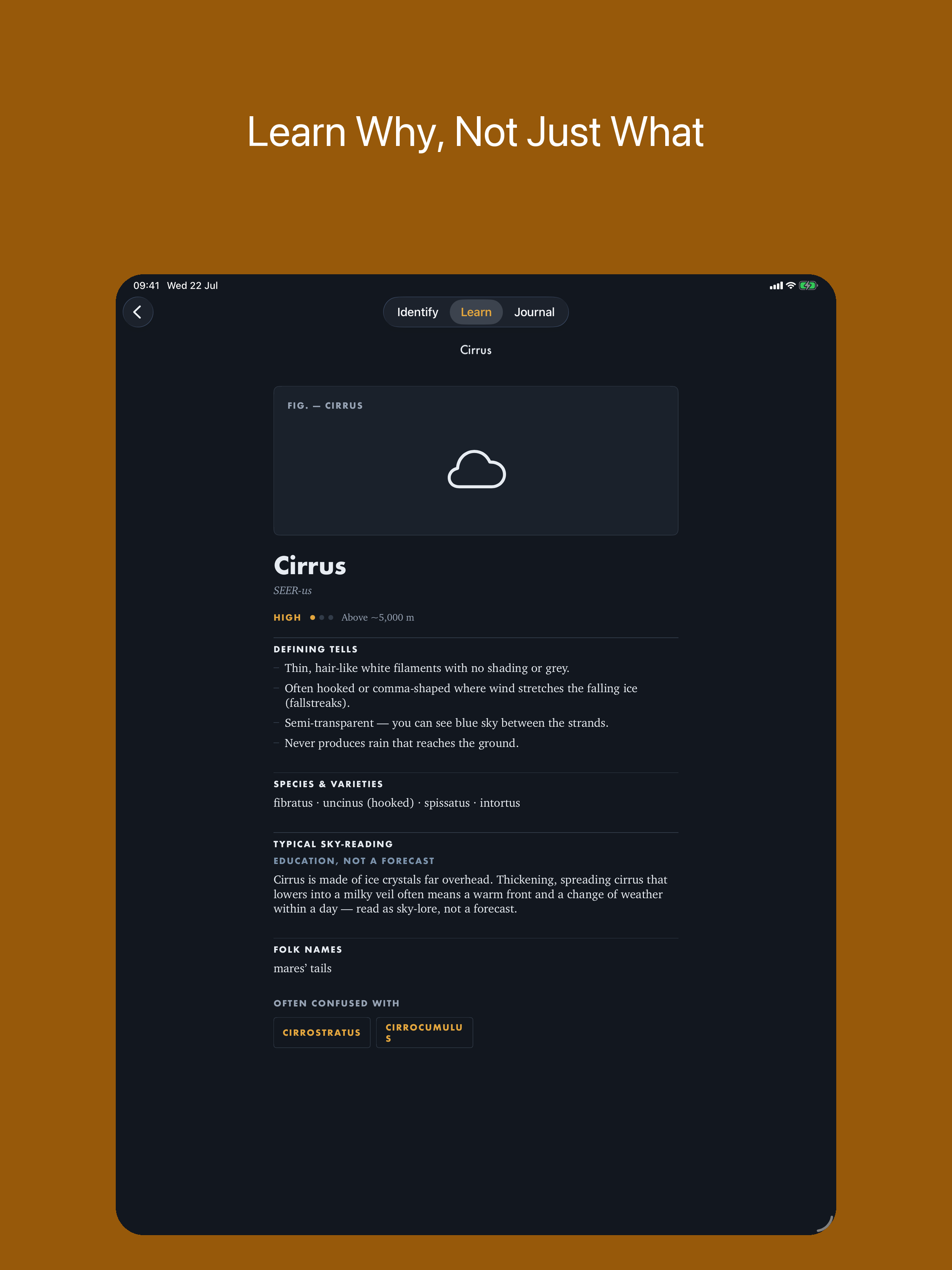 Cloud Identifier - CloudRadar screenshot 8