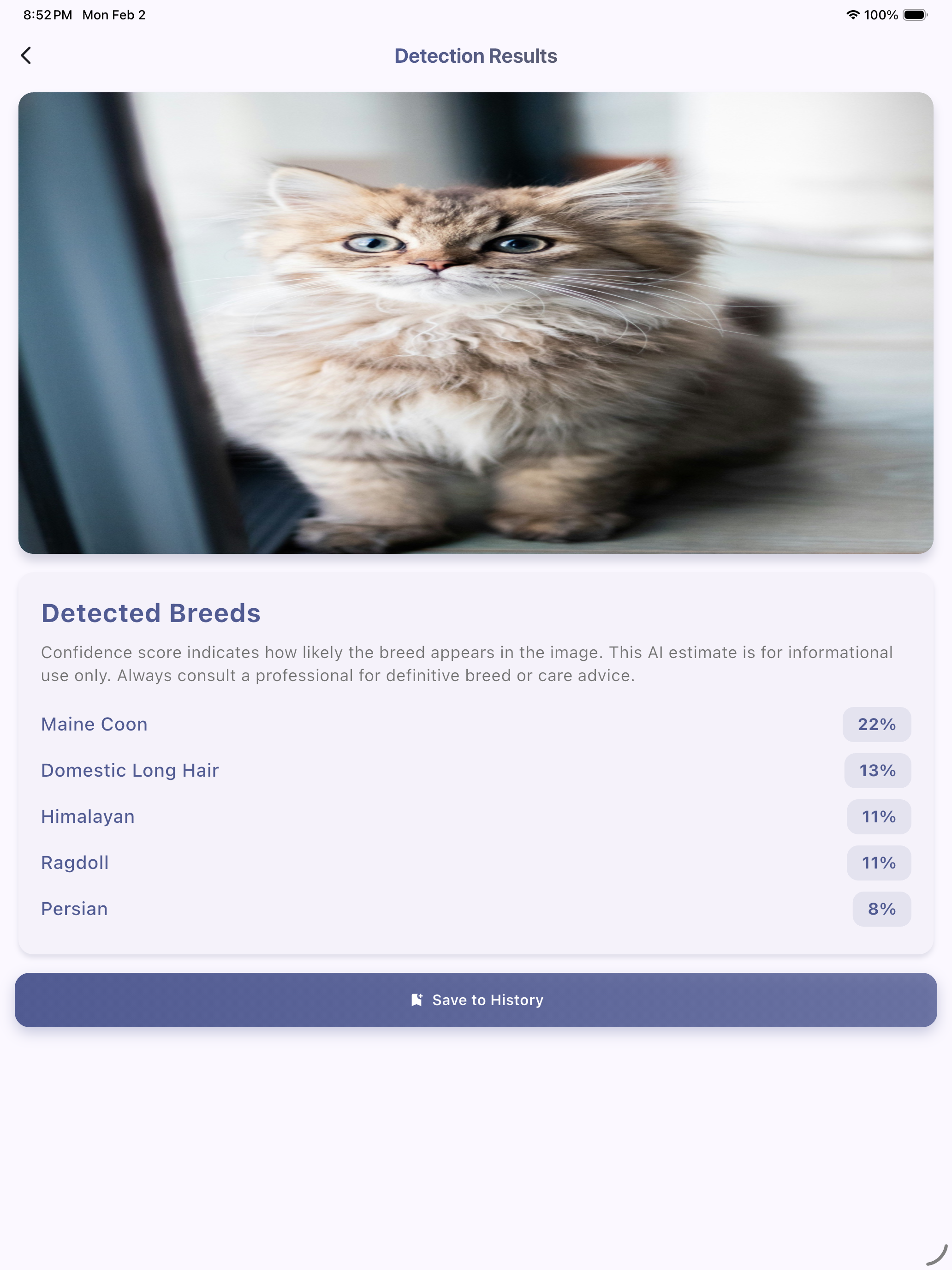 Cat Breed Lens