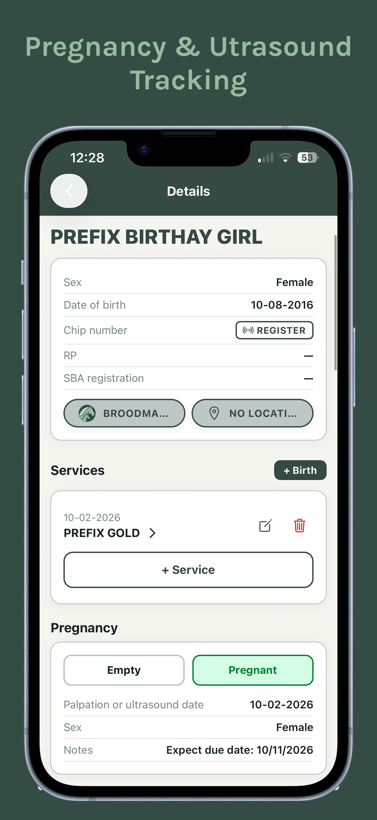 Polo Breeders screenshot 9